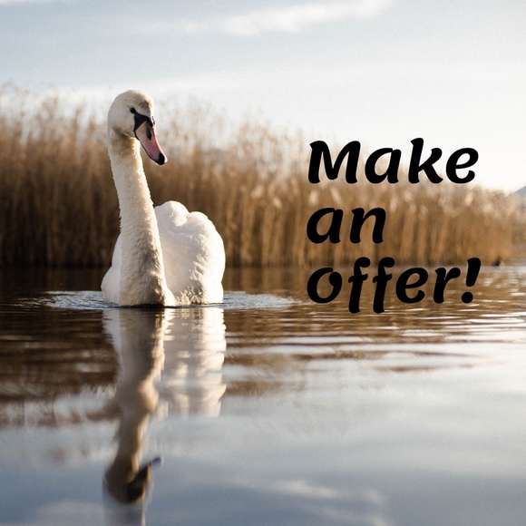 Gorgeous Tail of the Dragon US 129 Authentic Harley-Davidson Women's Tee Large - Picture 7 of 7